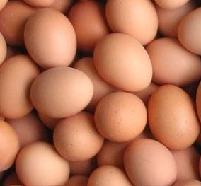 超市能买到真正的笨鸡蛋吗