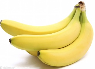 催熟的香蕉可以放心食用