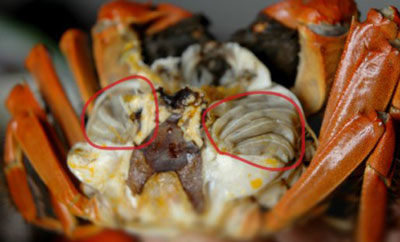 螃蟹吃哪些部位，螃蟹哪些部位不能吃