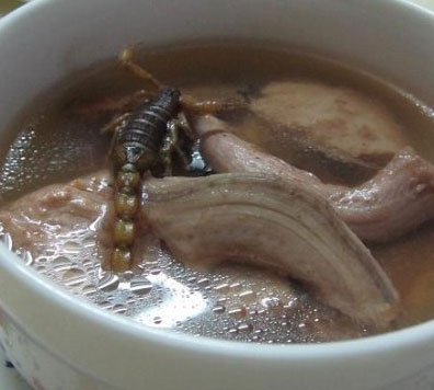 蝎子水蛇汤的做法，蝎子水蛇汤怎么做
