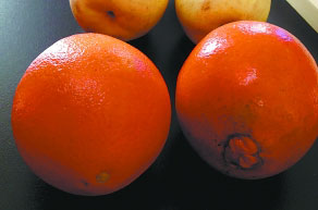 几种常见的水果如何分公母