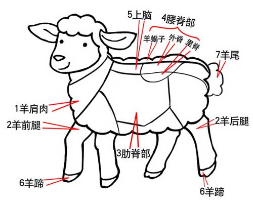 图解羊肉的七大关键部位