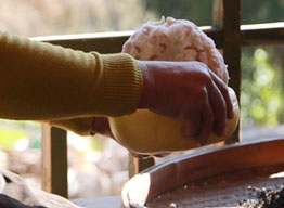 福建柚子茶的做法图解，如何用柚子皮做养生茶