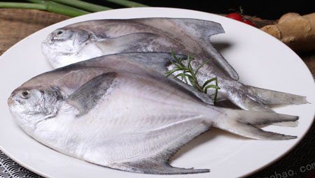 鲳鱼的营养价值及食疗功效，吃鲳鱼要注意什么