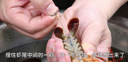 龙虾腹部的黑线是什么，需要去除吗