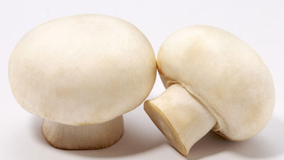 做法式奶油蘑菇汤用什么蘑菇好