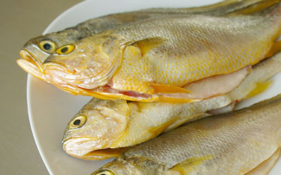 黄花鱼是海鱼吗，黄花鱼和黄鱼的区别