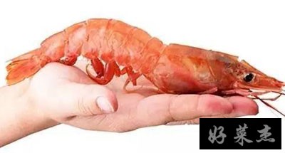 图解什么是阿根廷红虾，怎么处理好吃