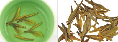 安吉白茶是白茶还是绿茶，它与白茶有什么区别