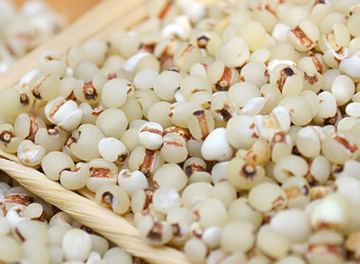 糯薏米有祛湿功效吗，图解糯薏米与普通薏米的区别