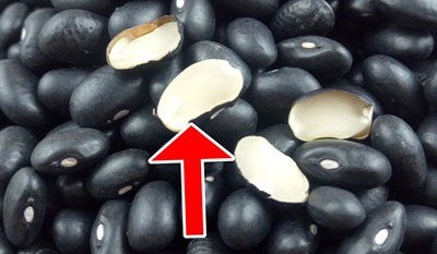 黑小豆是不是黑豆，图解如何识别黑豆和黑芸豆