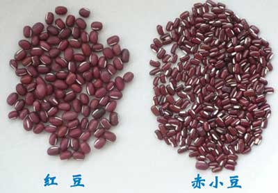 赤小豆的种仁是什么颜色，图解如何识别赤小豆伪品