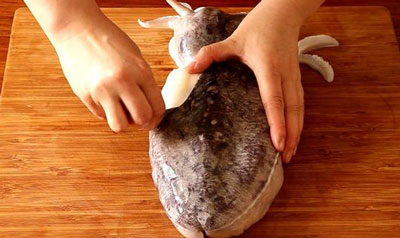 图解新鲜墨鱼和冰冻墨鱼的处理方法，墨鱼怎么处理鲜嫩而不腥