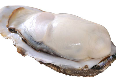海蛎是生蚝吗，海蛎、生蚝和牡蛎的区别在哪里