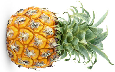 凤梨是不是菠萝，图解凤梨和菠萝有什么区别