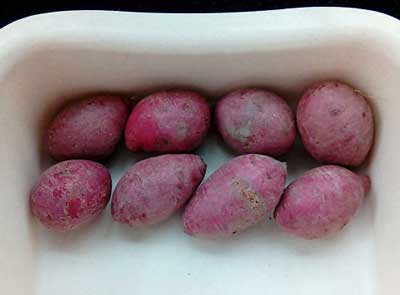 紫薯粉的自制方法及窍门，零添加的自制紫薯粉能放多久