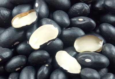 黑豆和黑芸豆最明显的区别是种仁颜色不同，大粒黑豆是不是药用黑豆