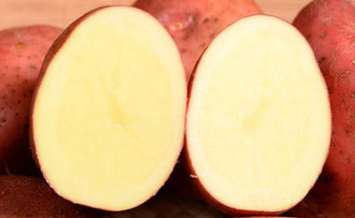 图解红皮土豆是什么土豆，红皮土豆怎么做好吃